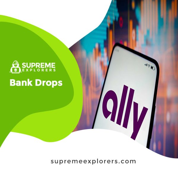 Ally Bank Statement Template PDF